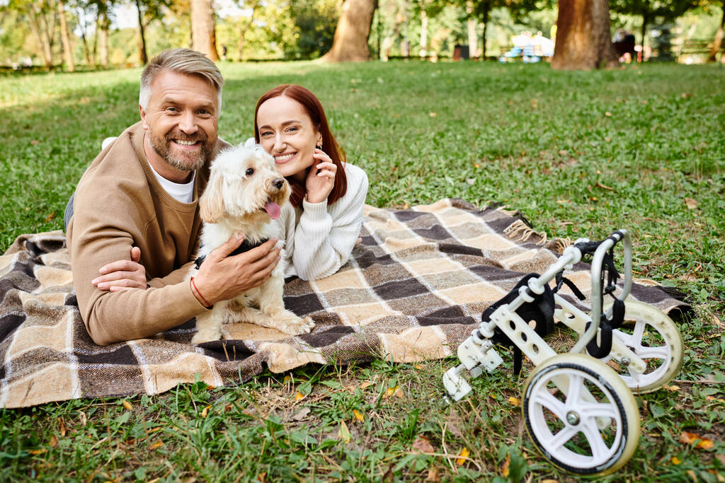 Un uomo e una donna si rilassano su una coperta con il loro cane in un parco. - Foto, immagini