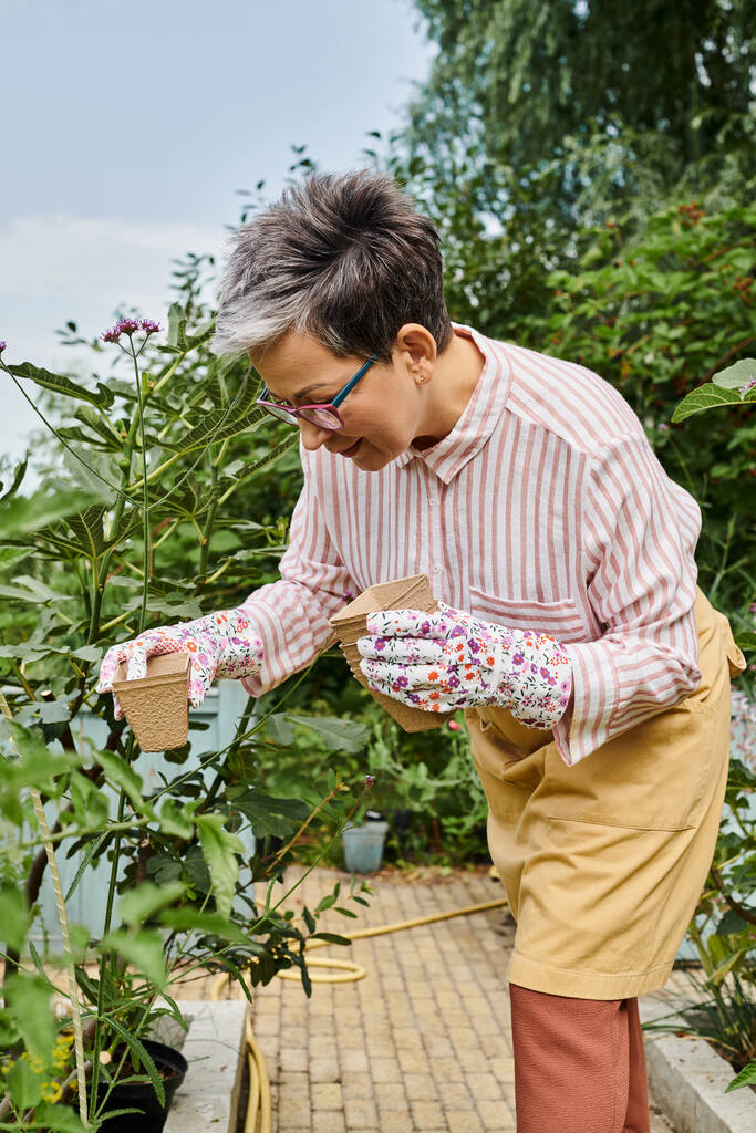 boa aparência mulher madura alegre com óculos e luvas usando equipamentos de jardinagem em suas flores - Foto, Imagem