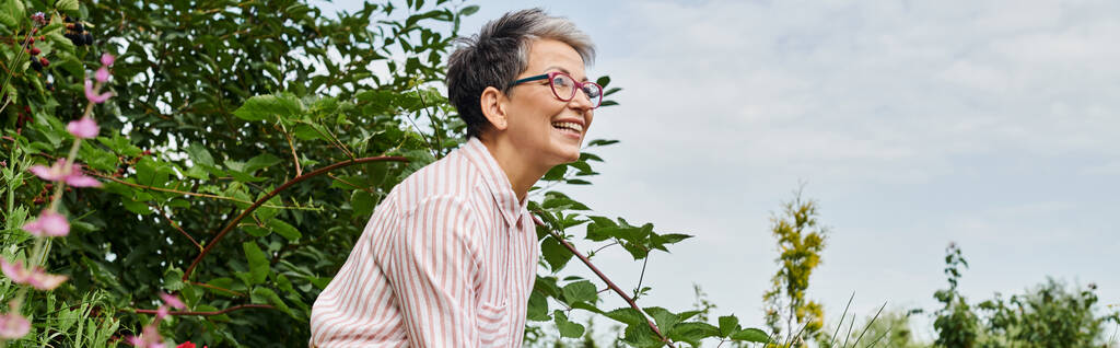 mujer madura alegre en traje casual con gafas que trabajan en su jardín con la plantación de cama, pancarta - Foto, Imagen