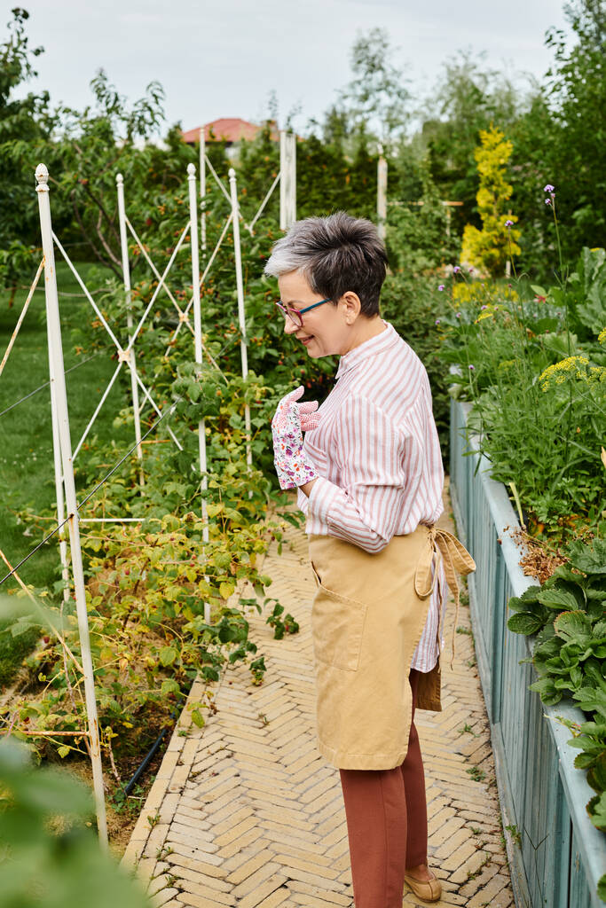 iloinen houkutteleva kypsä nainen lasit ja käsineet hoitaa hänen tuoreita marjoja puutarhassa - Valokuva, kuva