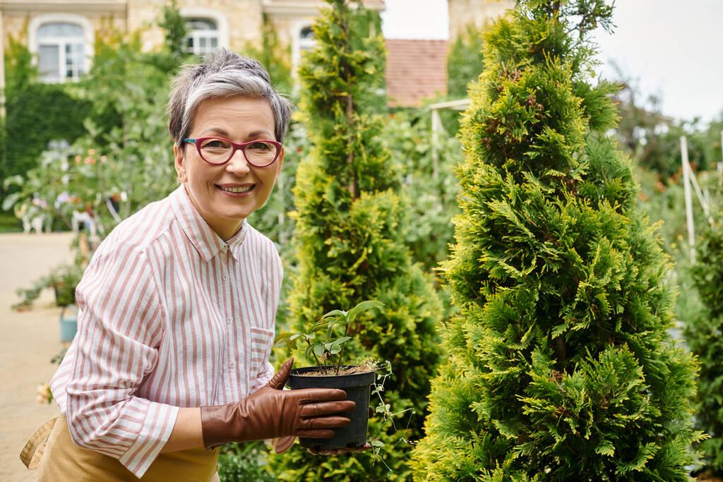 joyeuse femme mûre prenant soin de la plante en pot dans son jardin en Angleterre et souriant à la caméra - Photo, image