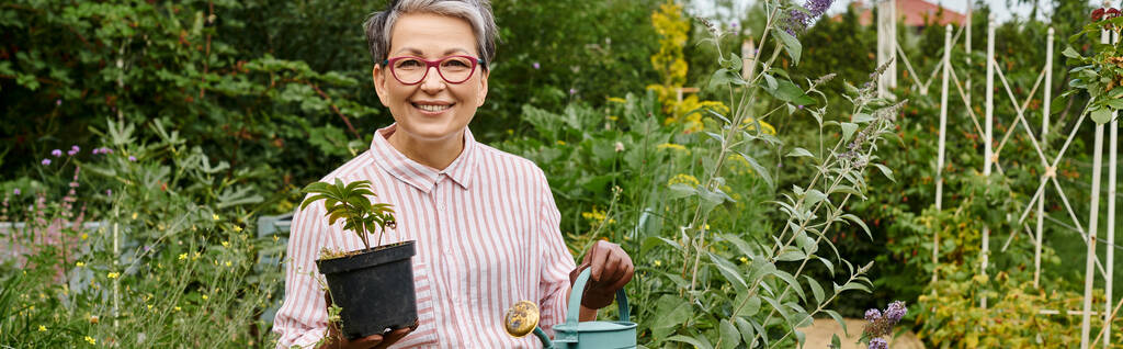 aantrekkelijk vrolijke volwassen vrouw houden gieter en pot met plant en glimlachen op de camera, banner - Foto, afbeelding