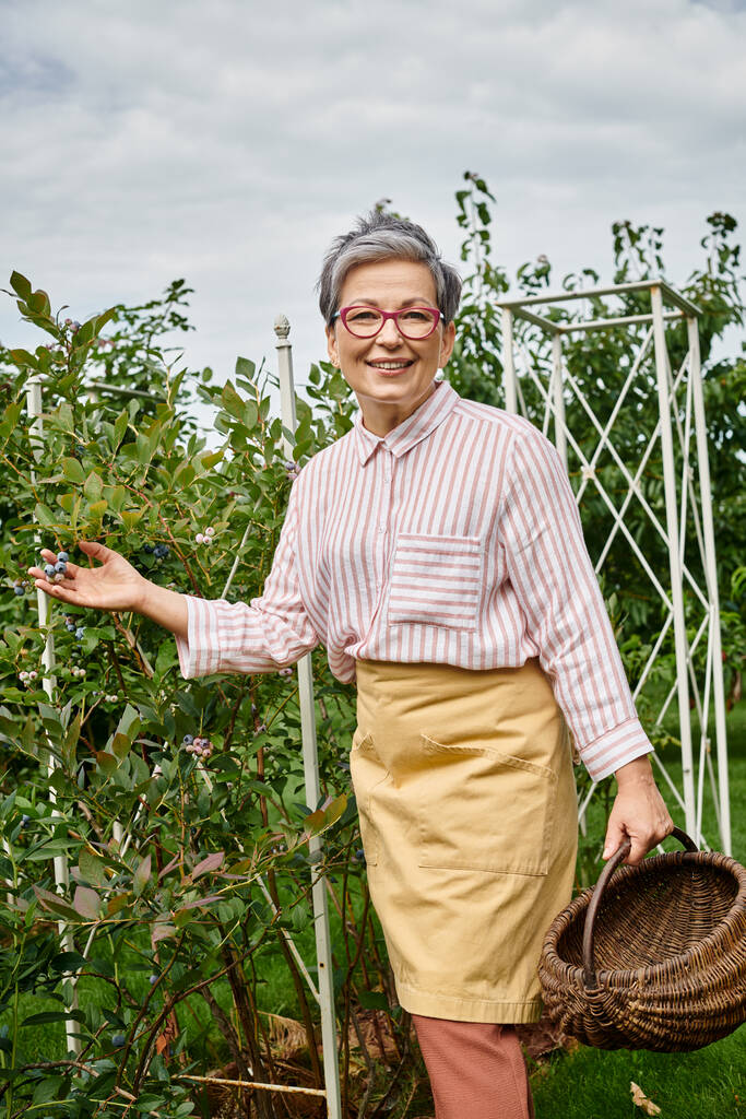 привлекательная взрослая женщина в очках, улыбающаяся в камеру, собирая свежие ягоды в саду - Фото, изображение