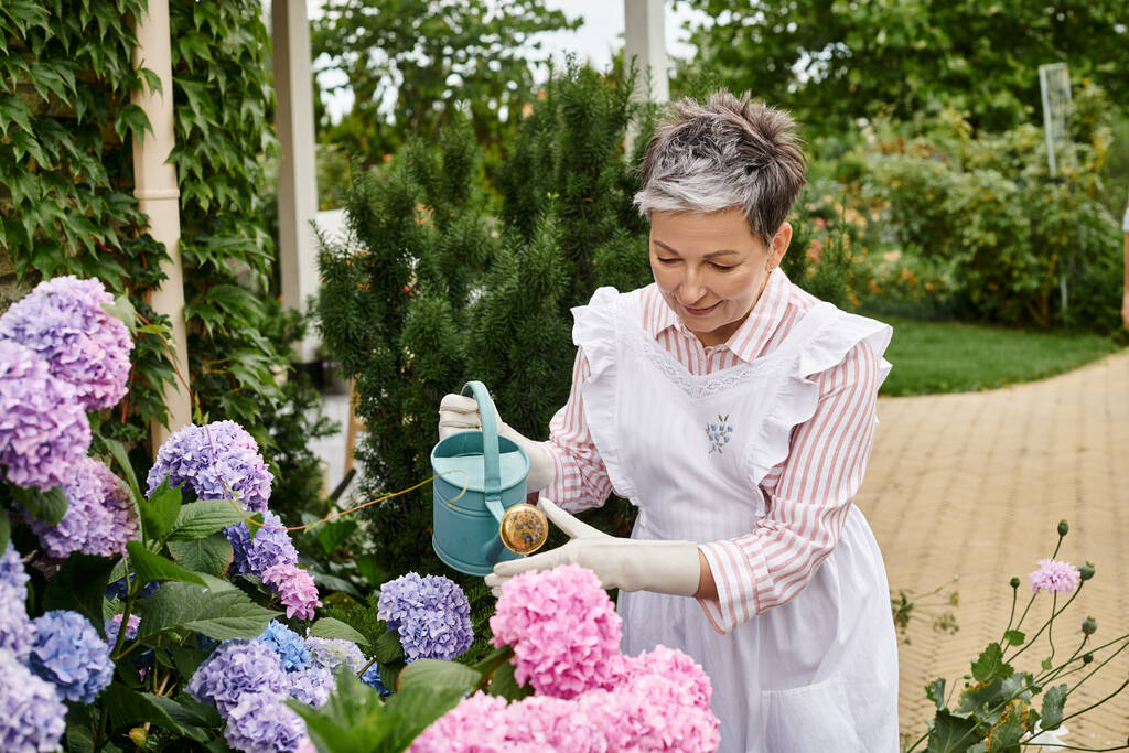 Canlı elbiseli neşeli olgun bir kadın İngiltere 'deki bahçesinde canlı ortancalarını suluyor. - Fotoğraf, Görsel