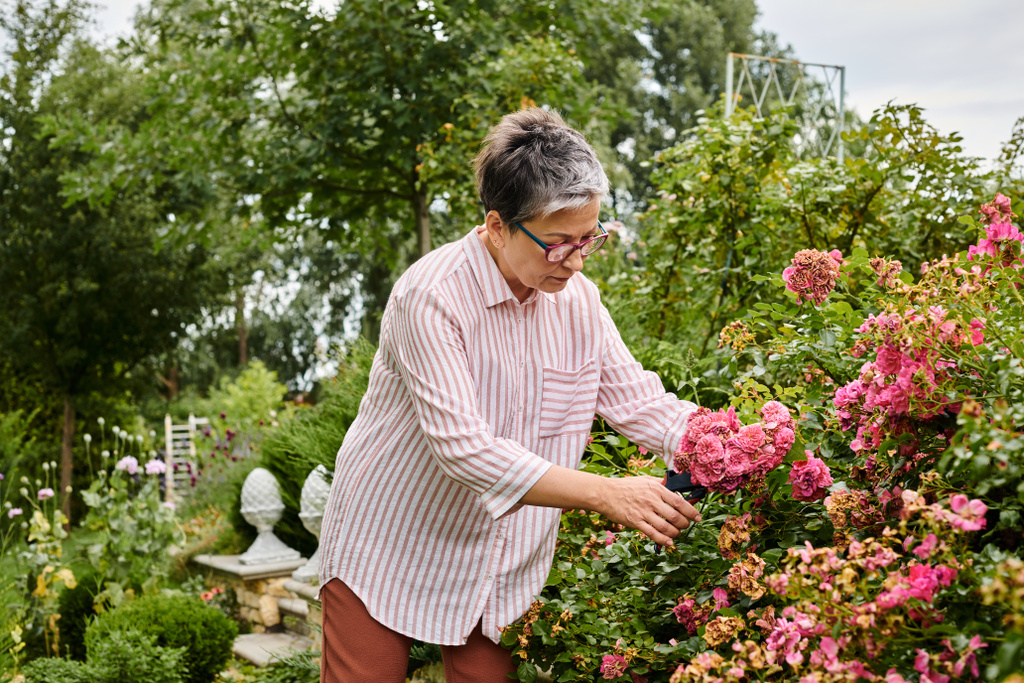 atractiva mujer madura alegre con el pelo corto utilizando herramientas de jardinería en su rosa rosa rosado vibrante - Foto, imagen