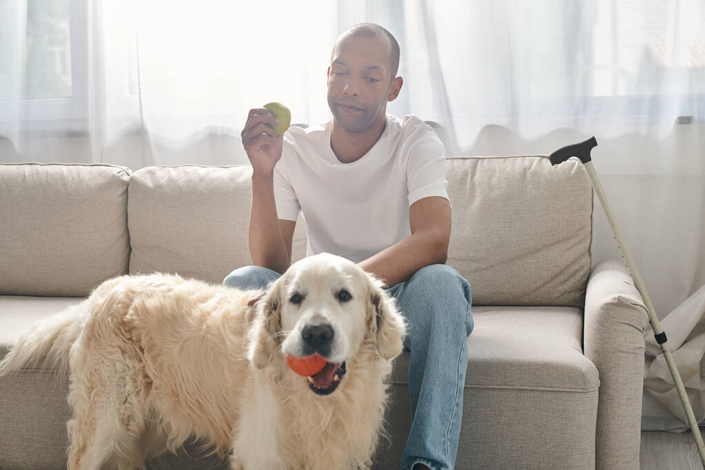 Інвалідний афроамериканський чоловік сидить на дивані поруч зі своїм вірним собакою Лабрадором, демонструючи різноманітність і включення. - Фото, зображення