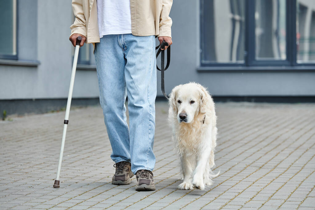 Un uomo afroamericano cammina tranquillo con un bastone accanto a un leale cane Labrador bianco. - Foto, immagini