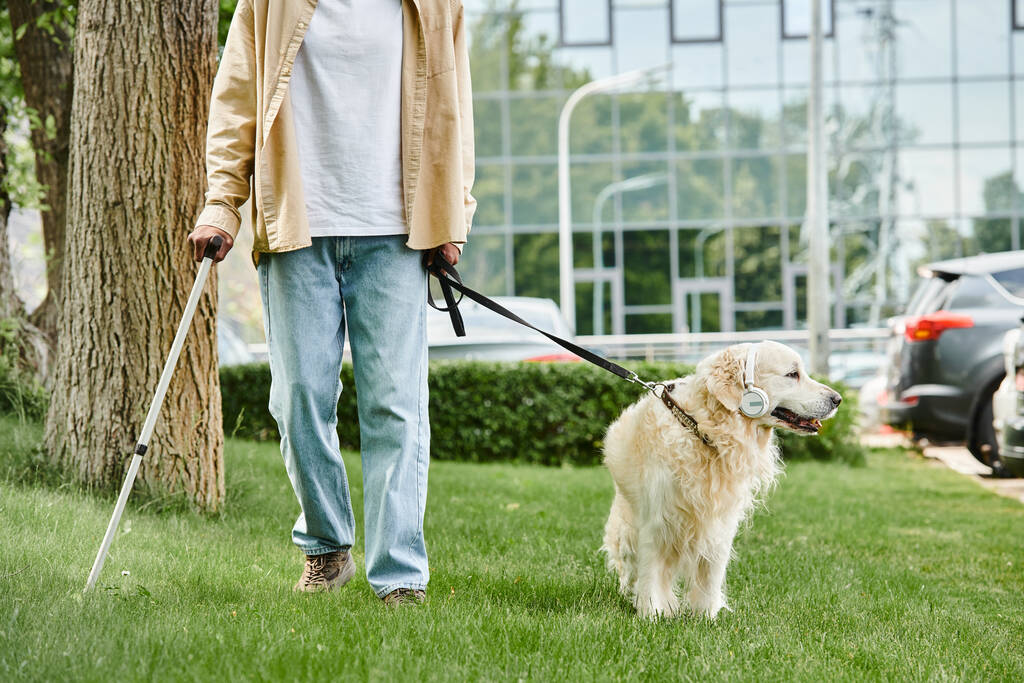 Niepełnosprawny Afroamerykanin wyprowadzający swojego psa Labradora w zróżnicowanej społeczności. - Zdjęcie, obraz