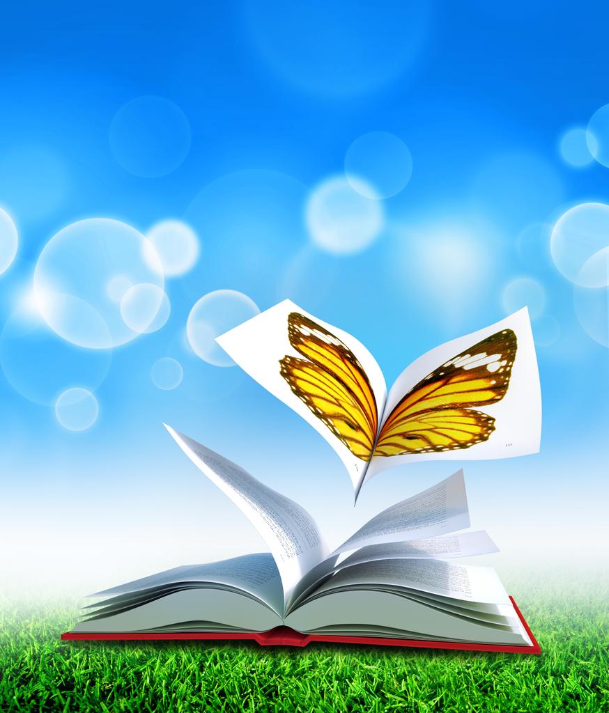 Schmetterlingsbuch - Foto, Bild