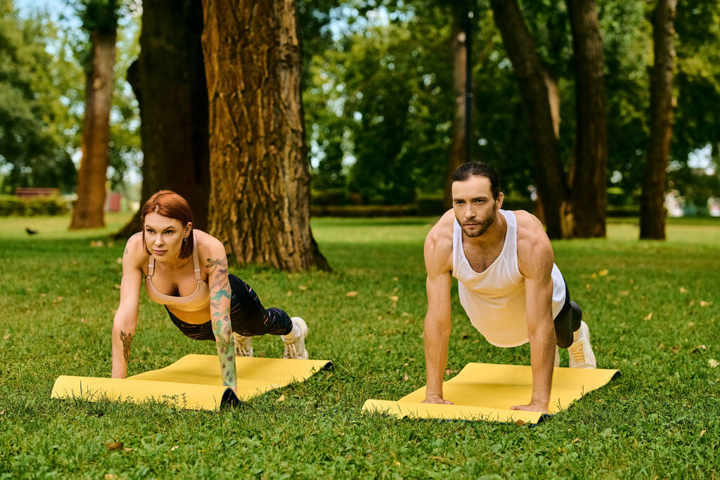Un uomo e una donna in abbigliamento sportivo eseguono flessioni sull'erba in un parco, mostrando determinazione e motivazione.. - Foto, immagini