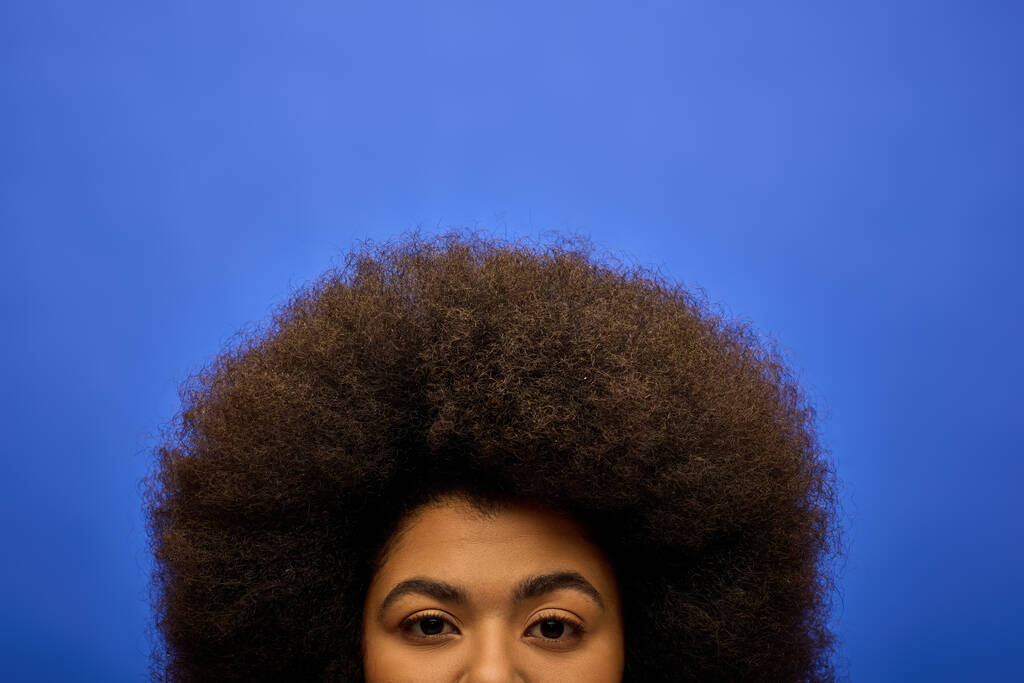 Κομψή Αφροαμερικανίδα γυναίκα με σγουρό χτένισμα ζωηρό μπλε φόντο. - Φωτογραφία, εικόνα