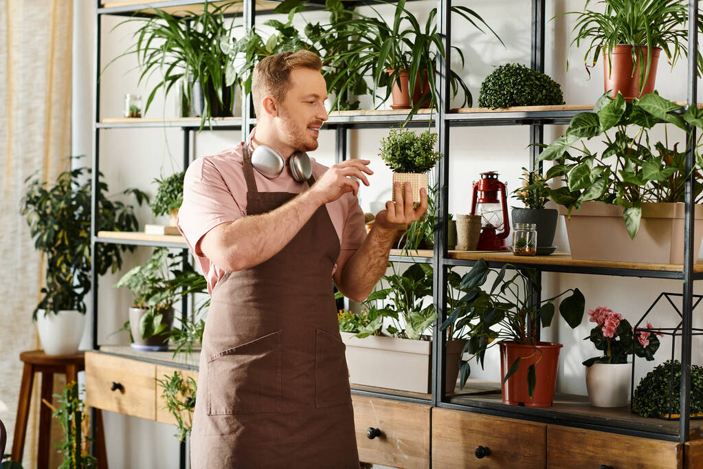 男は小さな植物店でさまざまな鉢植え工場で満たされた棚の前に立って,自然と起業家の本質を体現しています. - 写真・画像