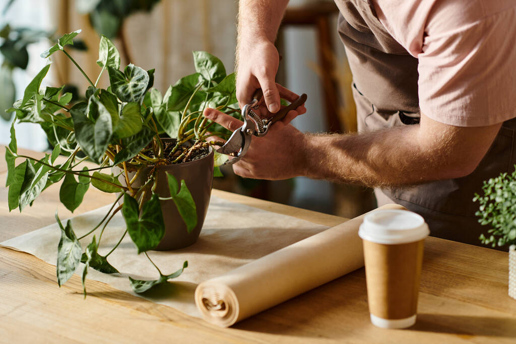 Une personne découpe méticuleusement une plante sur une table dans un magasin de plantes. - Photo, image