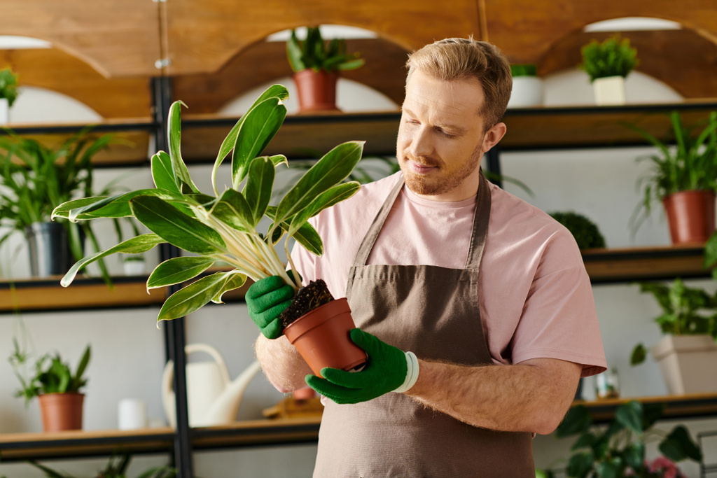 Egy férfi gyengéden a kezében tart egy cserepes növényt, bemutatva gondját és odaadását a botanikai mesterségének.. - Fotó, kép