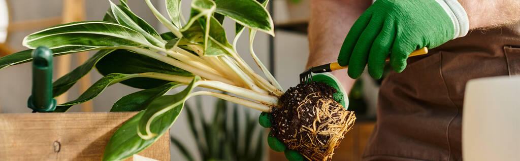 Eine Person mit grünen Handschuhen hält zart eine Pflanze in der Hand, die Pflege und Liebe zur Natur in einem Pflanzenladen verkörpert. - Foto, Bild