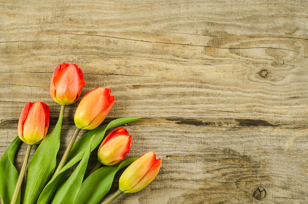 Prázdné dřevěné pozadí s barevnými květy - Fotografie, Obrázek