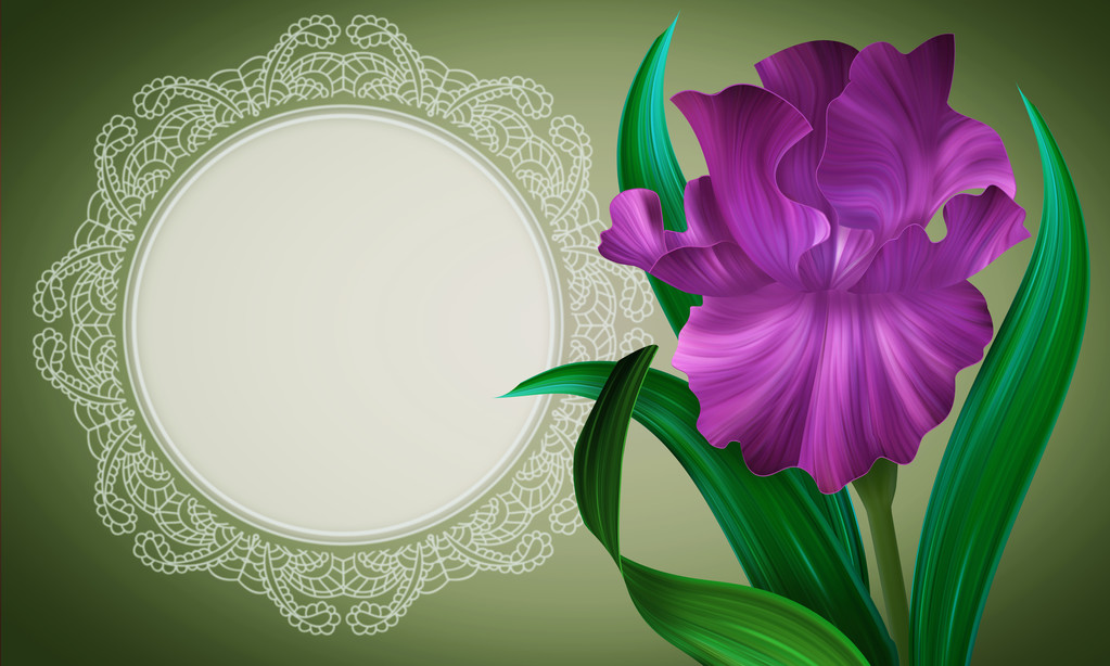 Iris Flor con marco de encaje
 - Foto, imagen