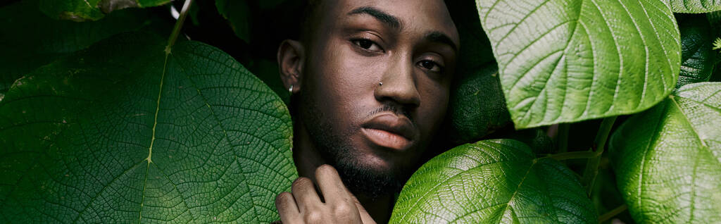 Изысканный афроамериканец прячется за большим зеленым листом в ярком саду. - Фото, изображение