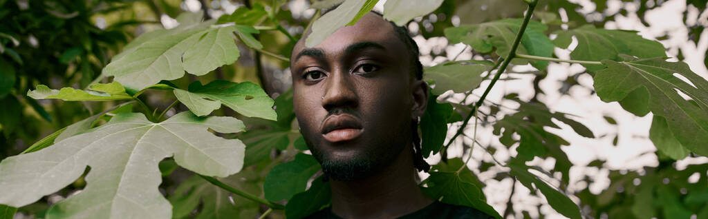 Un bel homme afro-américain se tient en confiance devant une forêt verte luxuriante et vibrante. - Photo, image