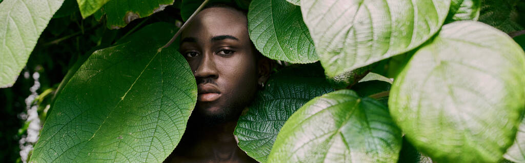 Красивый мужчина в опрятном стиле прячется за пышными зелеными листьями. - Фото, изображение