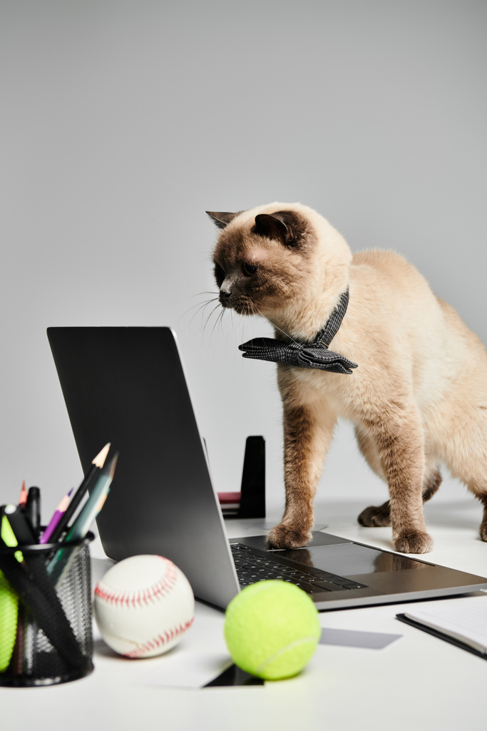 Een kat staat vol vertrouwen op een laptop computer, die toezicht houdt op de werkruimte. - Foto, afbeelding