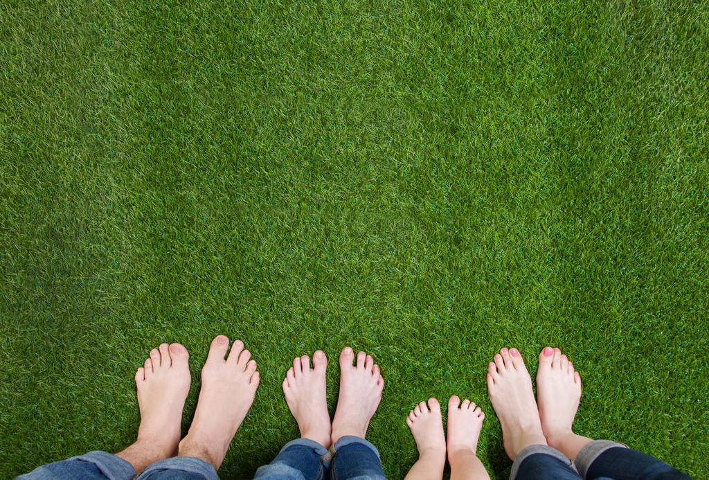 Yeşil çimenlerin üzerinde duran aile bacaklar - Fotoğraf, Görsel
