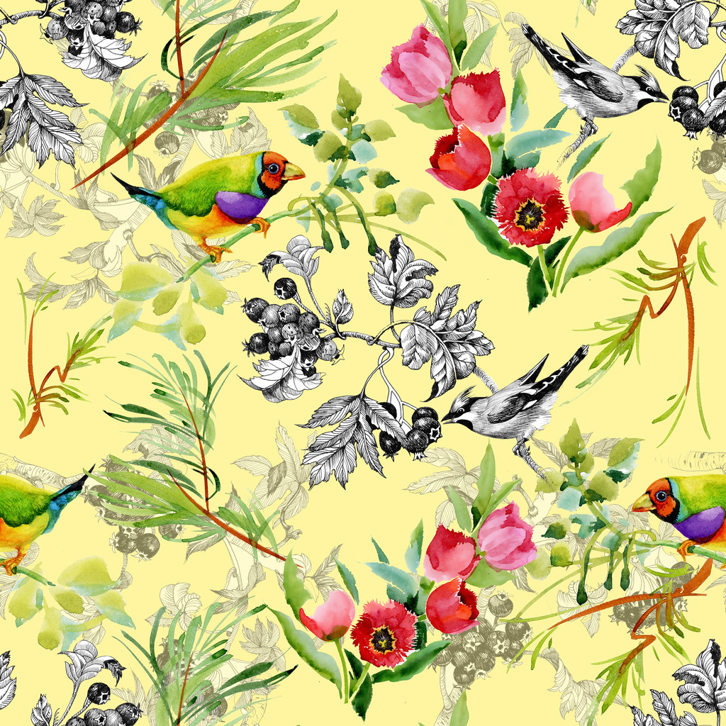 Pássaros com flores de jardim
 - Foto, Imagem