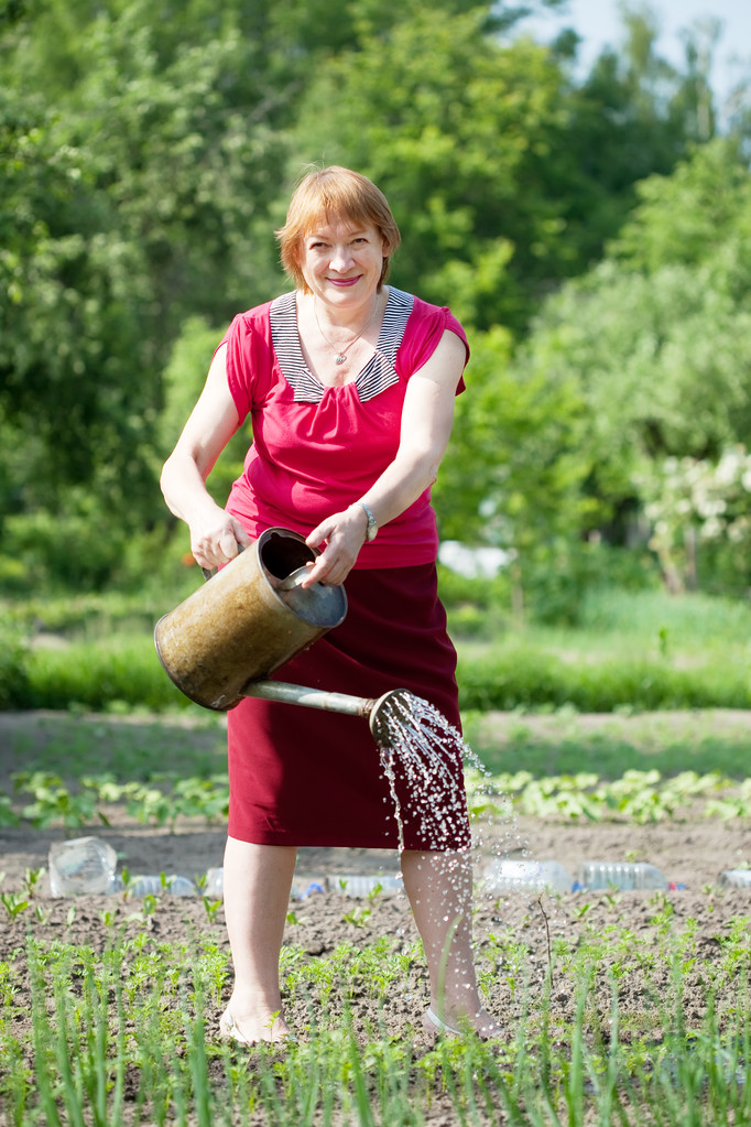 reife Frau gießt Pflanze - Foto, Bild