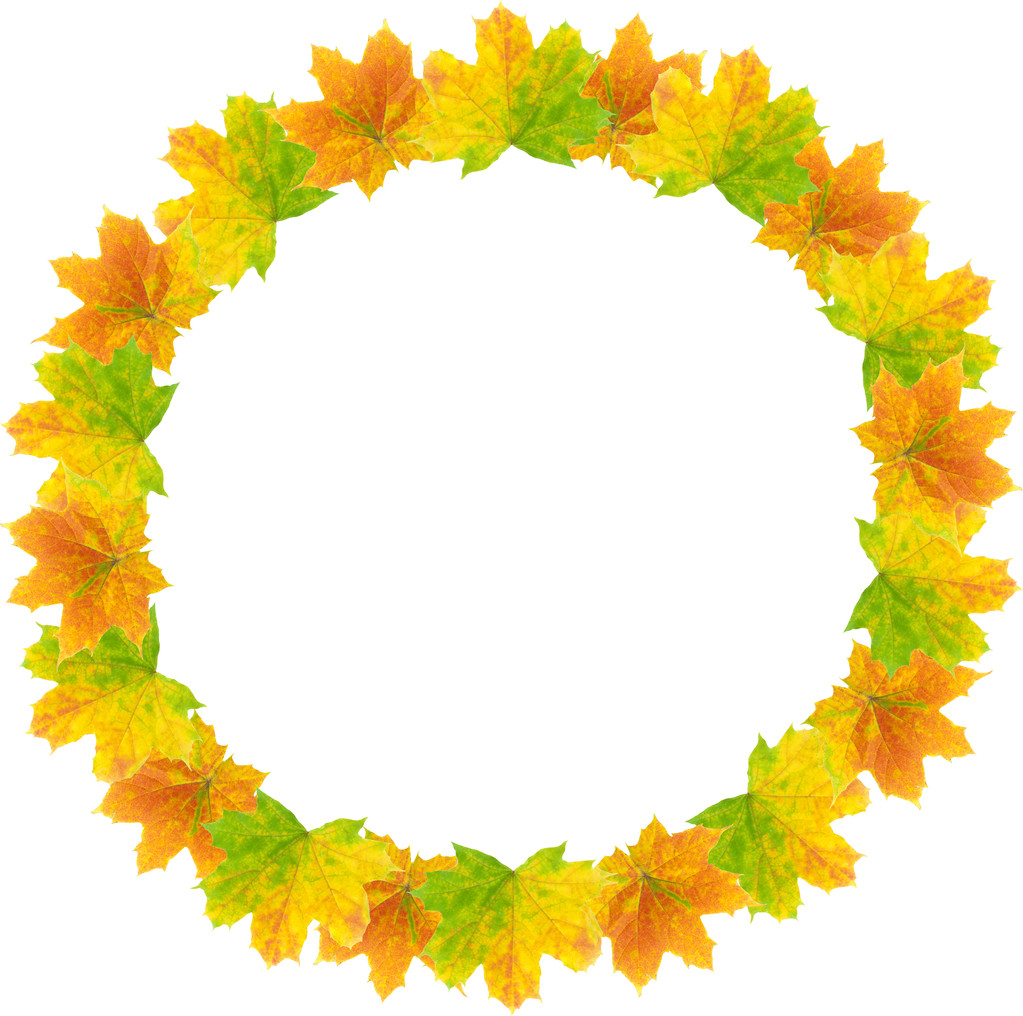 Quadro de folha de outono
 - Foto, Imagem