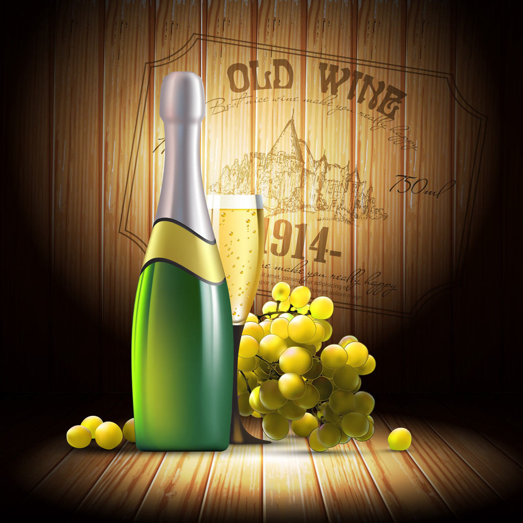 wine and grapevine - Vector, Image