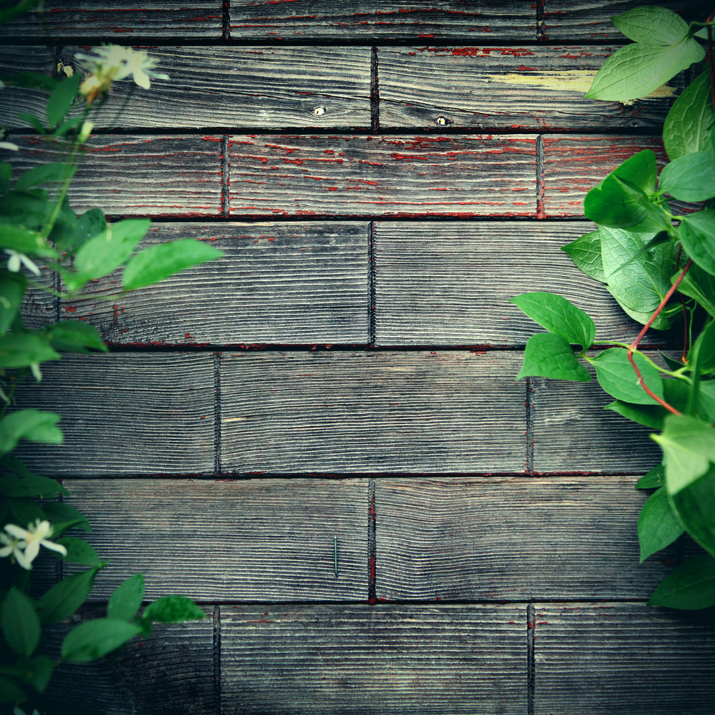 Wooden Background outdoor - Photo, Image