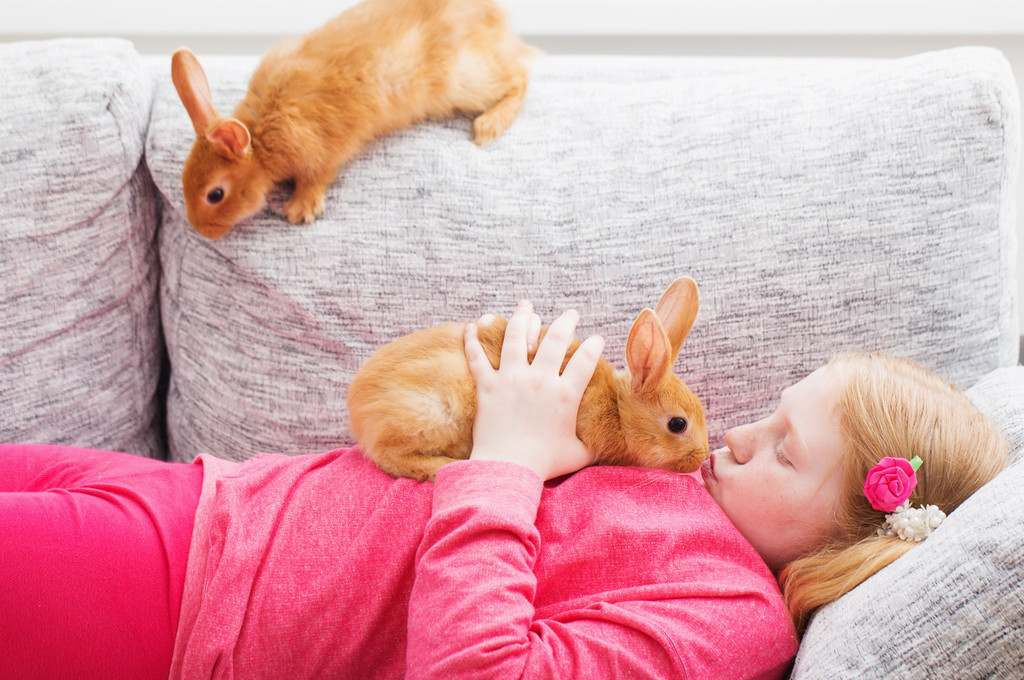  dziewczyna z dwóch królików kryty - Zdjęcie, obraz