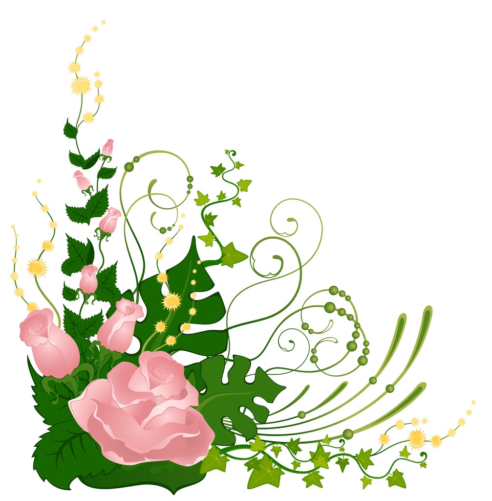 Fundo branco com flores tropicais
 - Foto, Imagem