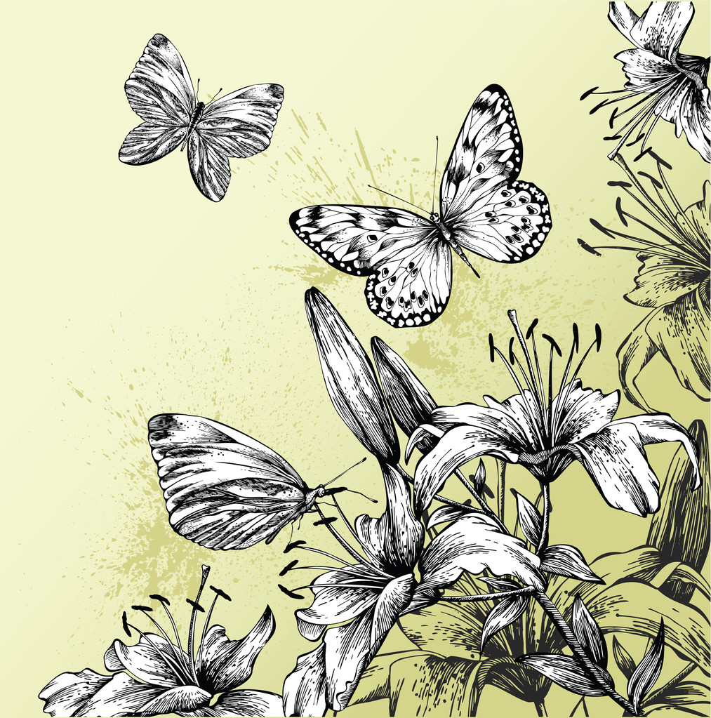 Background with blooming lilies and beautiful butterflies, hand-drawing. Ve - Vector, Image