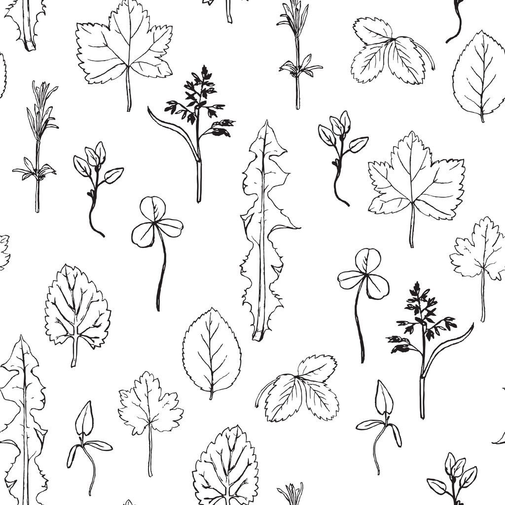 безшовний візерунок з травами і листям
 - Вектор, зображення