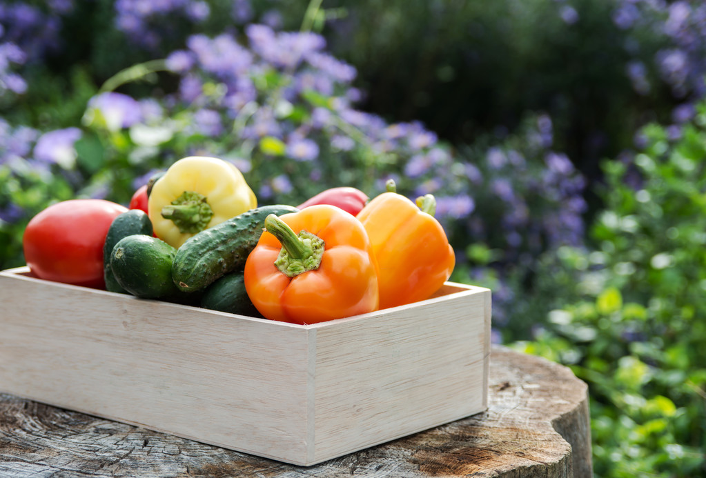 Деревянная коробка со свежими овощами
 - Фото, изображение