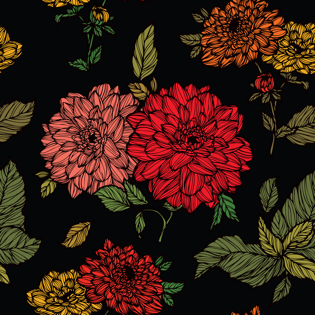 Patrón sin costura con adorno de flores de crisantemo
 - Vector, imagen