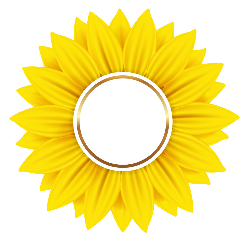 Kulaté hlavičky s žluté slunečnice - Vektor, obrázek