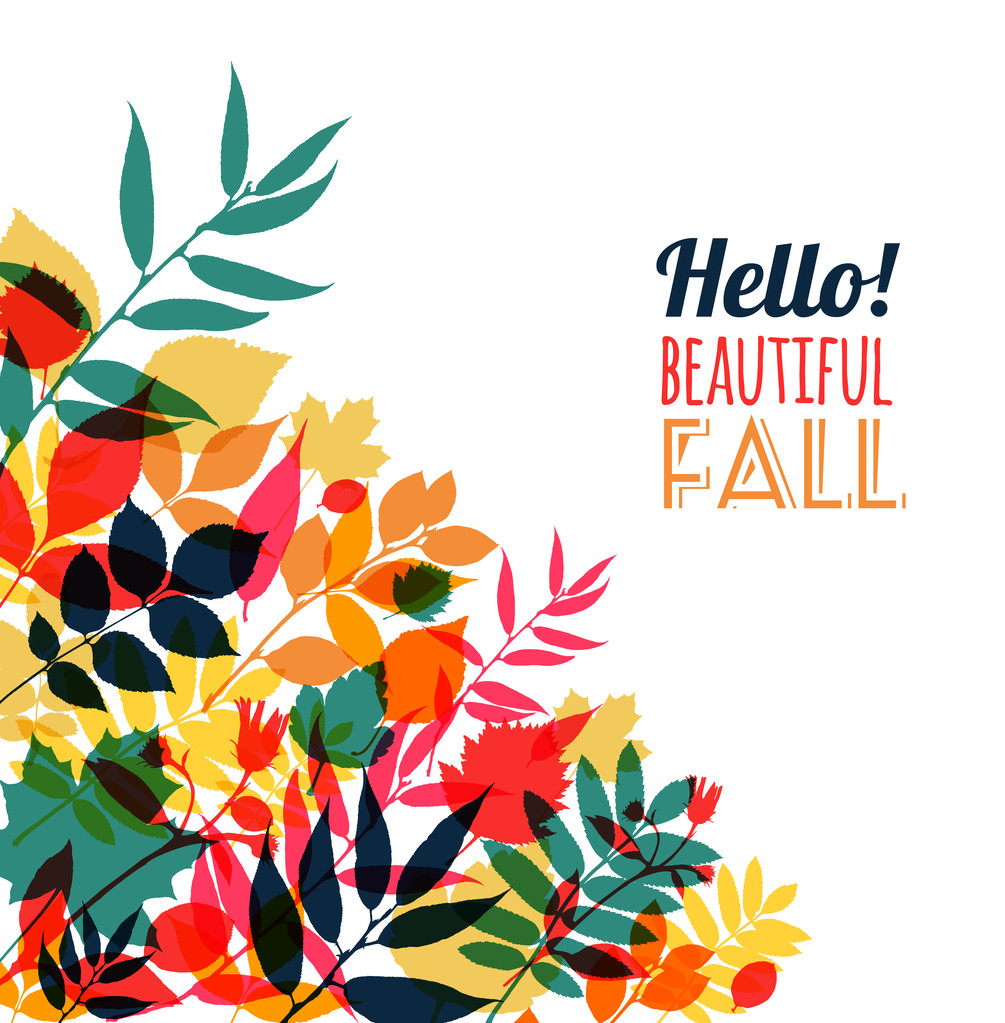 Autumn illustration of leaves - Vector, Image