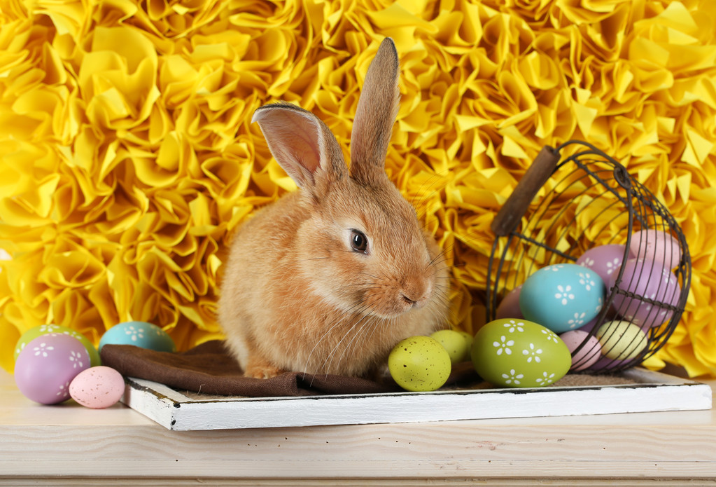 süßes rotes Kaninchen mit Ostereiern - Foto, Bild