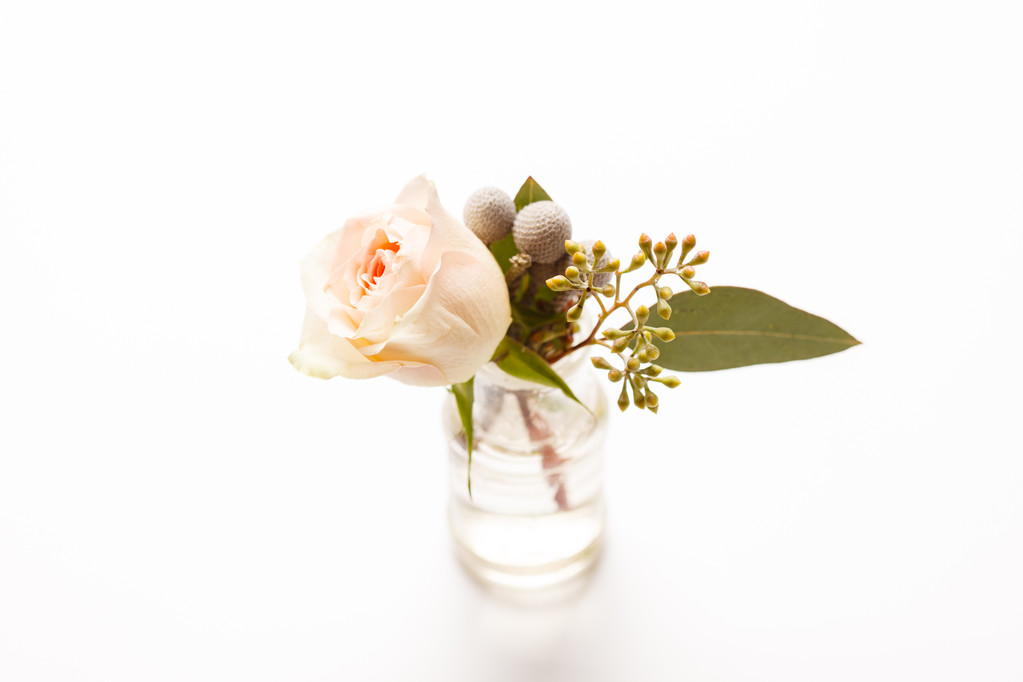 schöne Rosenblüte - Foto, Bild