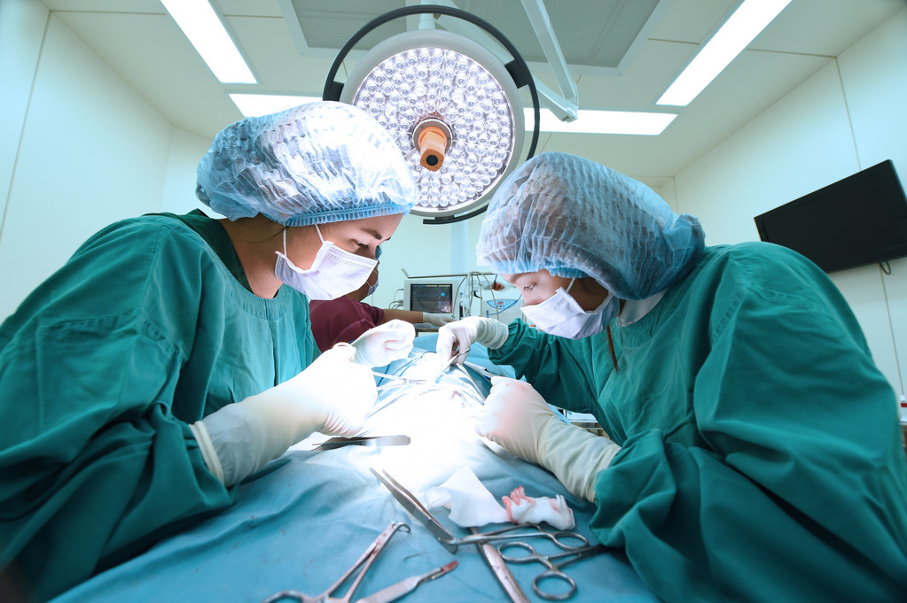Ομάδα Χειρουργικής κτηνίατρος σε λειτουργία δωμάτιο - Φωτογραφία, εικόνα