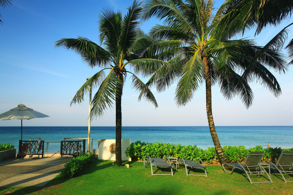 ligstoelen in de buurt van Hotel met palmen - Foto, afbeelding