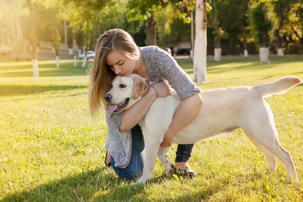 Uma mulher bonita com o seu cão. Labrador retriever
 - Foto, Imagem