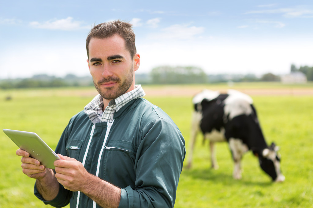Portret van een jonge aantrekkelijke boer in een weiland met koeien - Foto, afbeelding