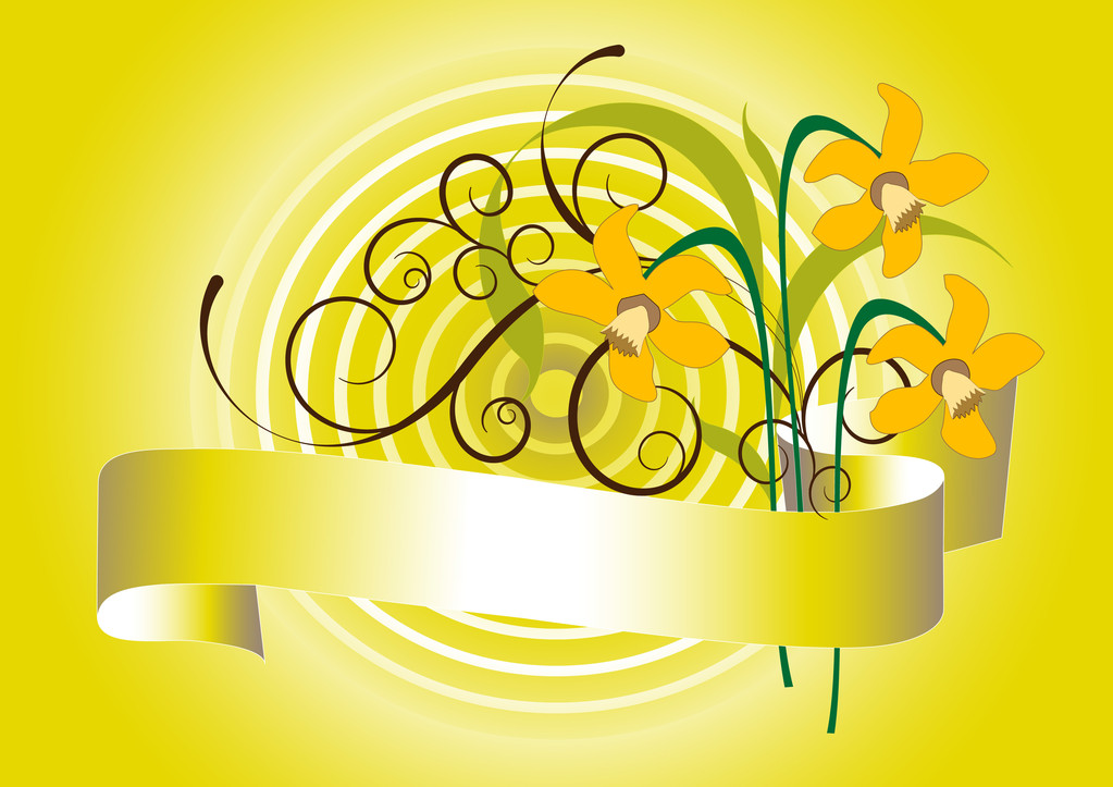 Spring bouquet of daffodil.Background.Postcard - Vector, Image