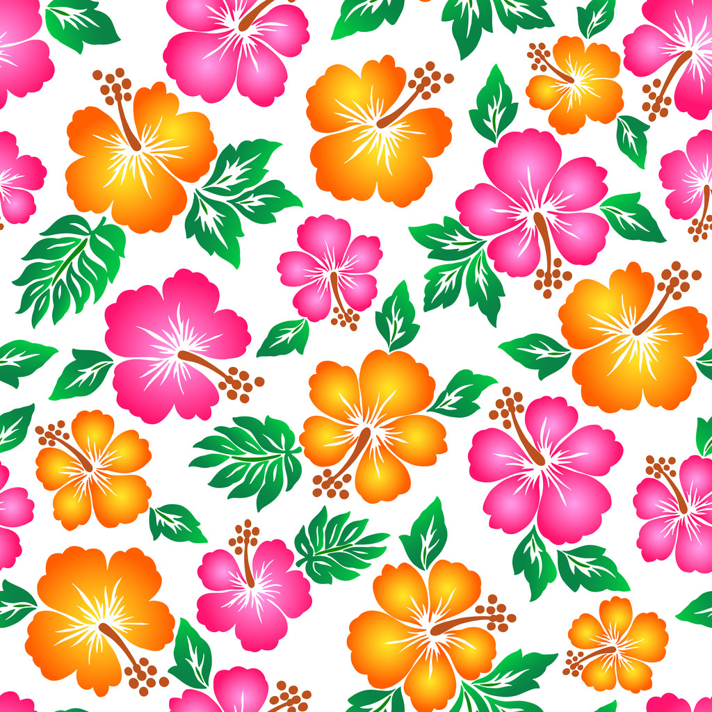 Hibiscus bloemenpatroon - Vector, afbeelding