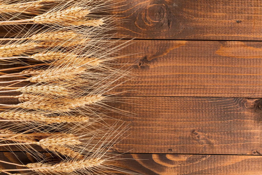 Suché uši pšenice - Fotografie, Obrázek