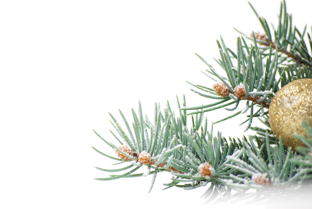 Різдвяні прикраси з гілкою дерева на білому
 - Фото, зображення