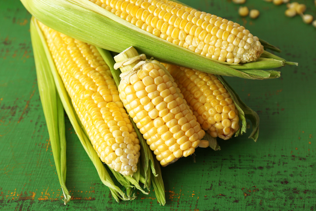 Świeża kukurydza na kolby na zielonym tle drewniane - Zdjęcie, obraz